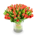 Kytice červených tulipánů